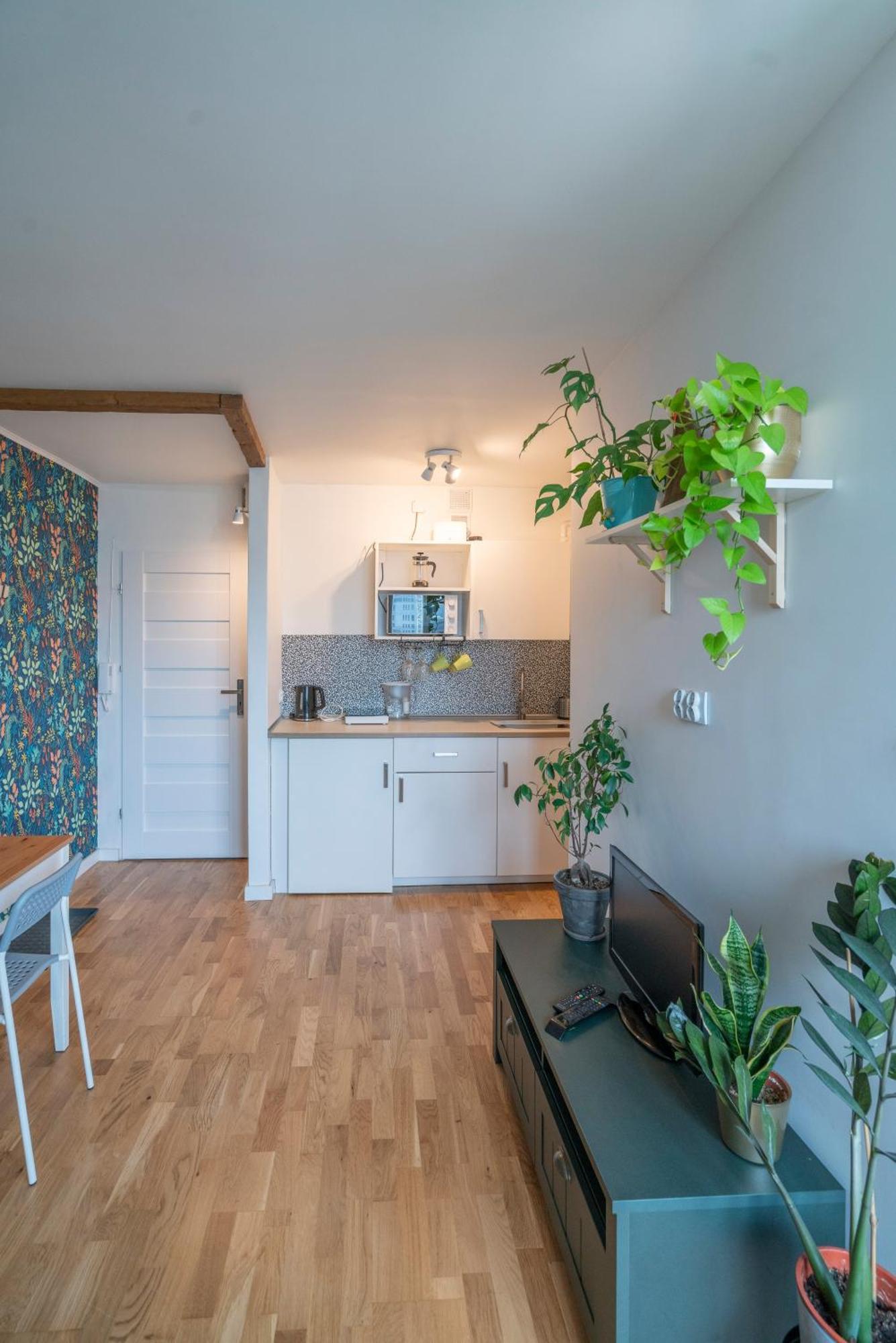 Green Studio In The City Center Of Vratislav Exteriér fotografie